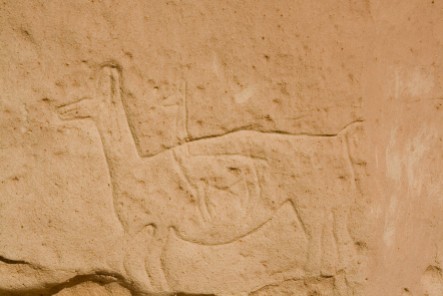 Graffiti pre-nasca - lama